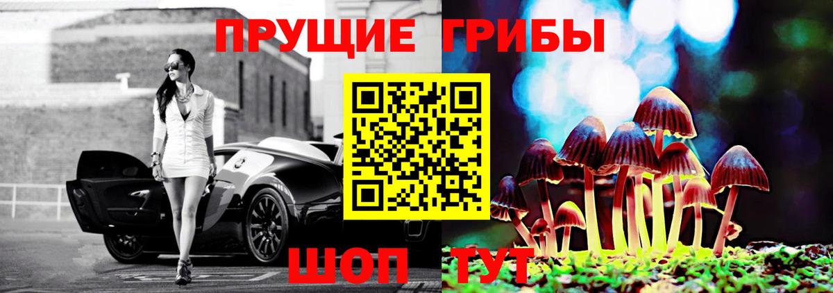 Шарыпово  Галлюциногенные грибы мухоморы  Вход с VPN 