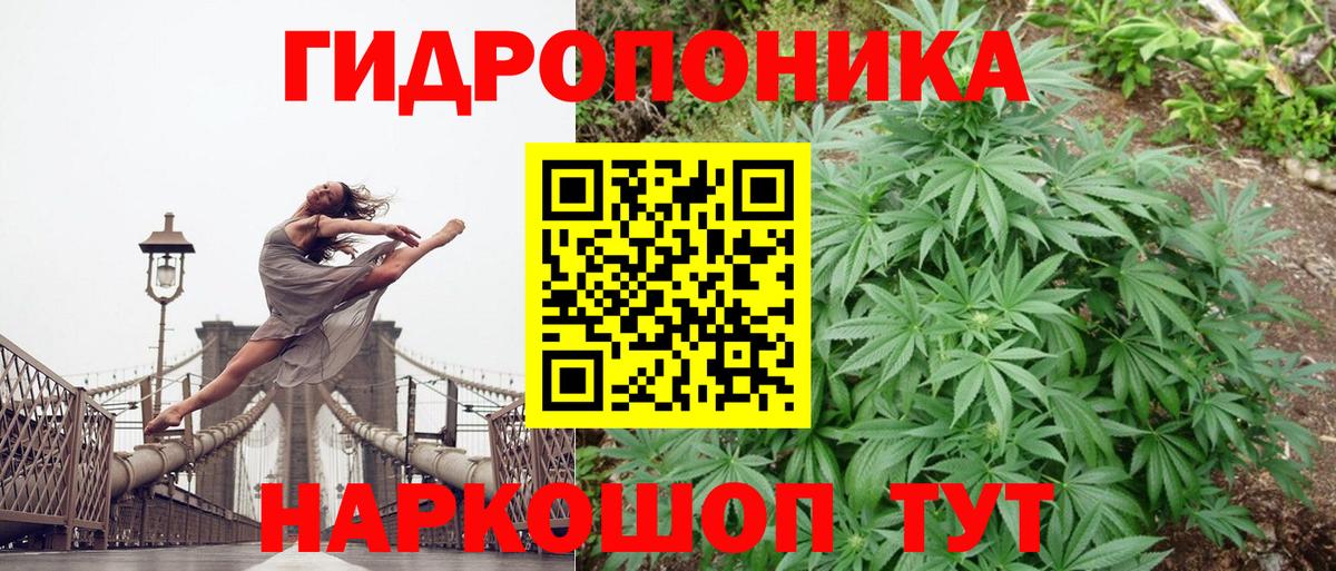 Канабис OG Kush Шарыпово